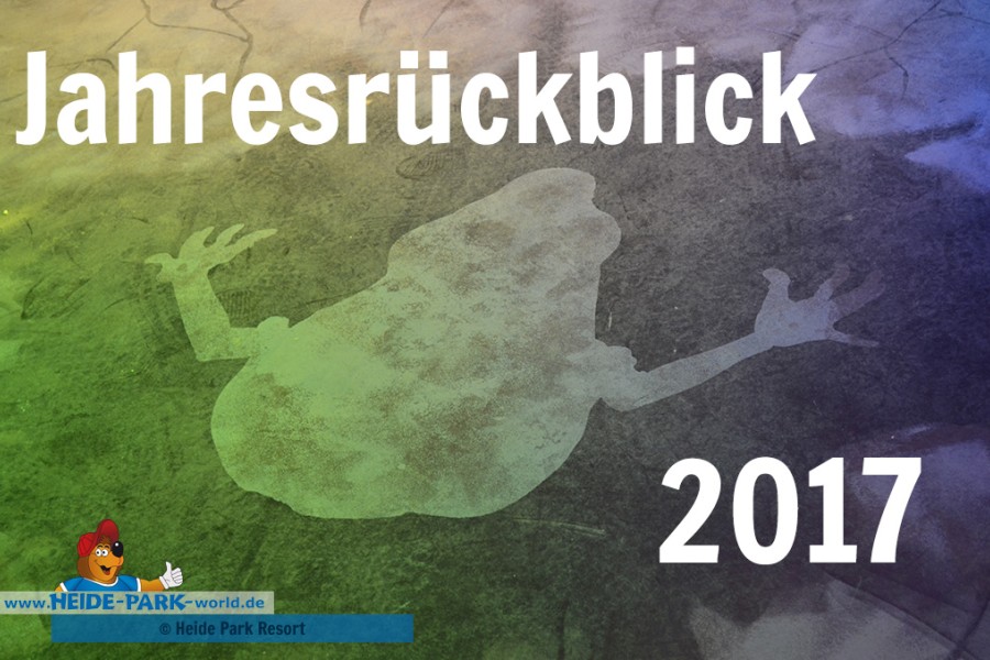 Jahresrückblick 2017