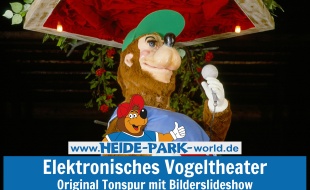 Video: Elektronisches Vogeltheater