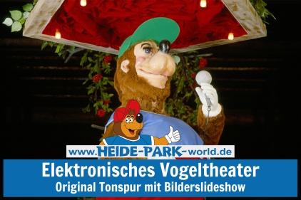 Video: Elektronisches Vogeltheater